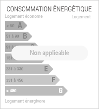 Diagnostic de Performance énergétique Diagnostic de Performance énergétique de niveau NA