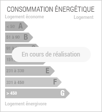 Diagnostic de Performance énergétique Diagnostic de Performance énergétique de niveau NONE